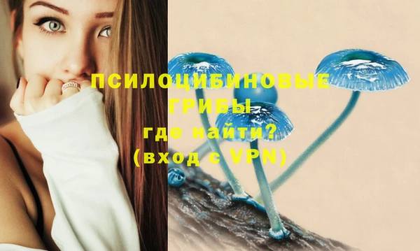 spice Бородино