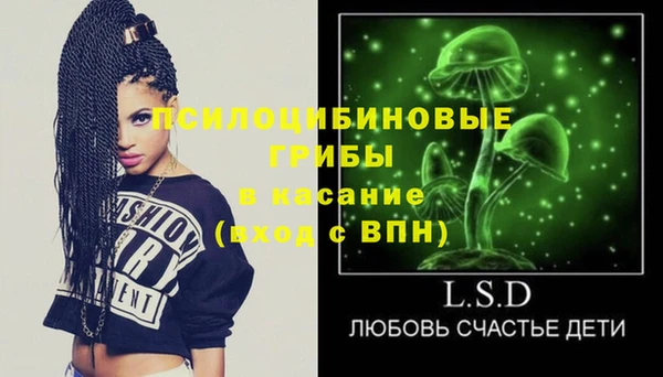 spice Бородино