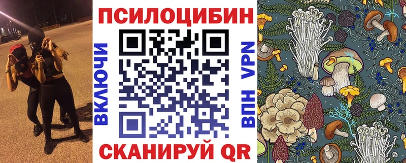 Галлюциногенные грибы Psilocybine cubensis  Купить закладки  Минусинск 